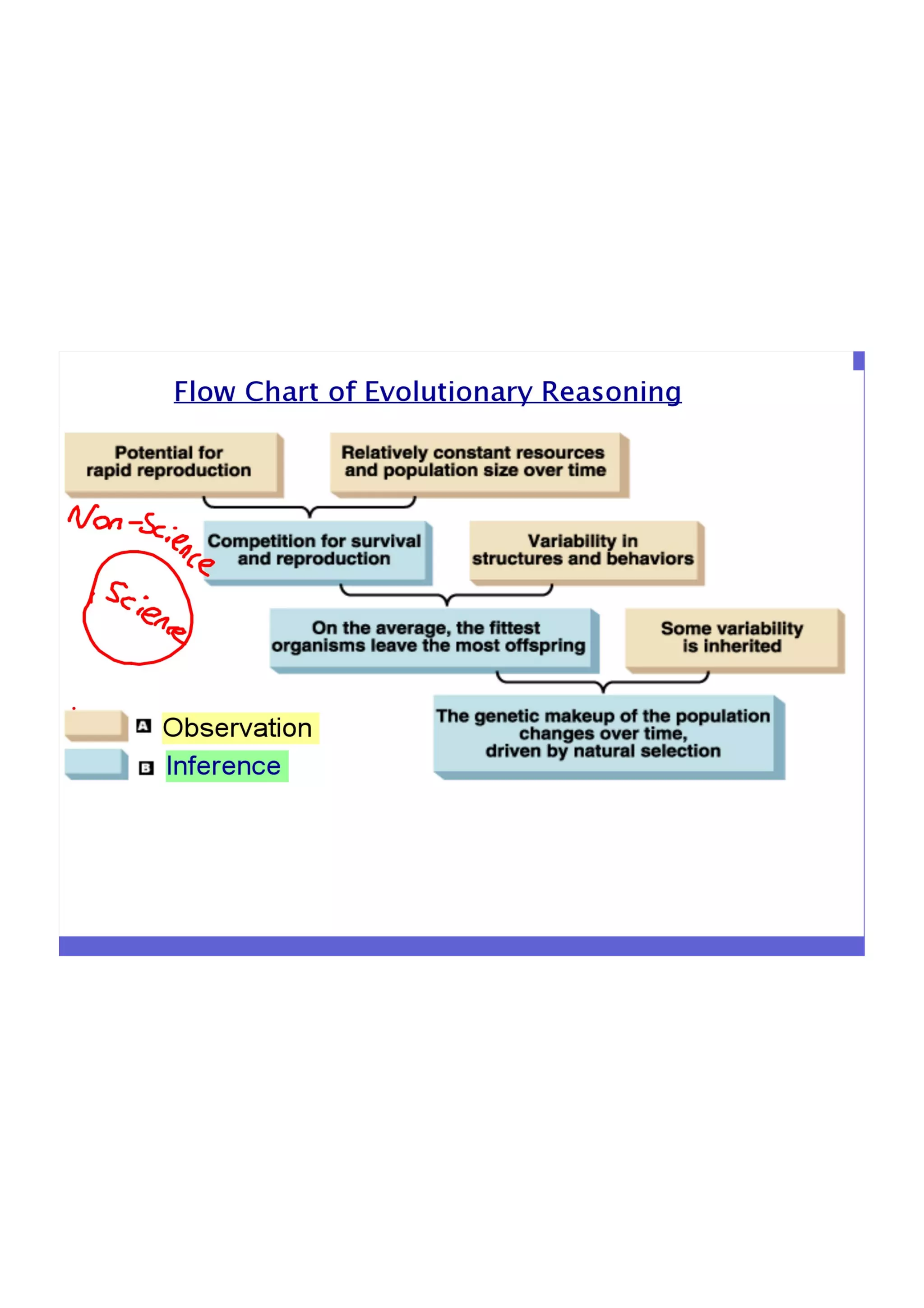 Evolution flowchart