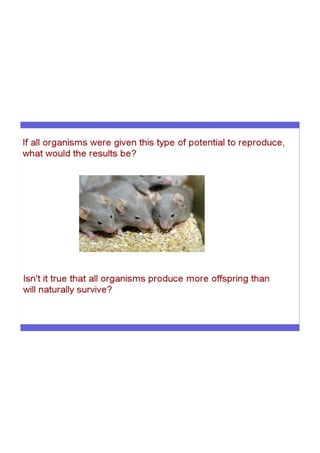 Evolution flowchart | PDF