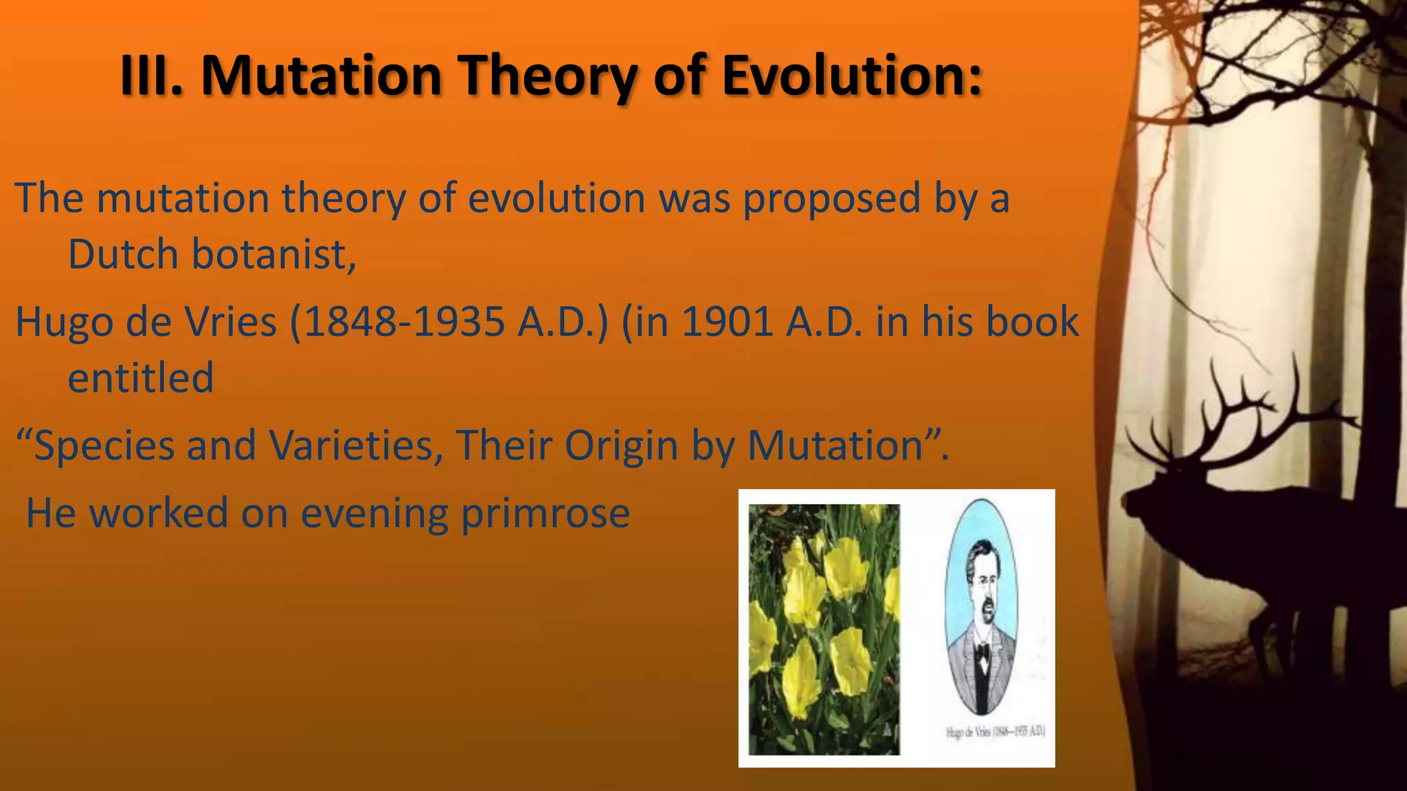 III. Mutation Theory of Evolution:
The mutation theory of evolution was proposed by a
Dutch botanist,
Hugo de Vries (1848‐1935 A.D.) (in 1901 A.D. in his book
entitled
“Species and Varieties, Their Origin by Mutation”.
He worked on evening primrose
 
