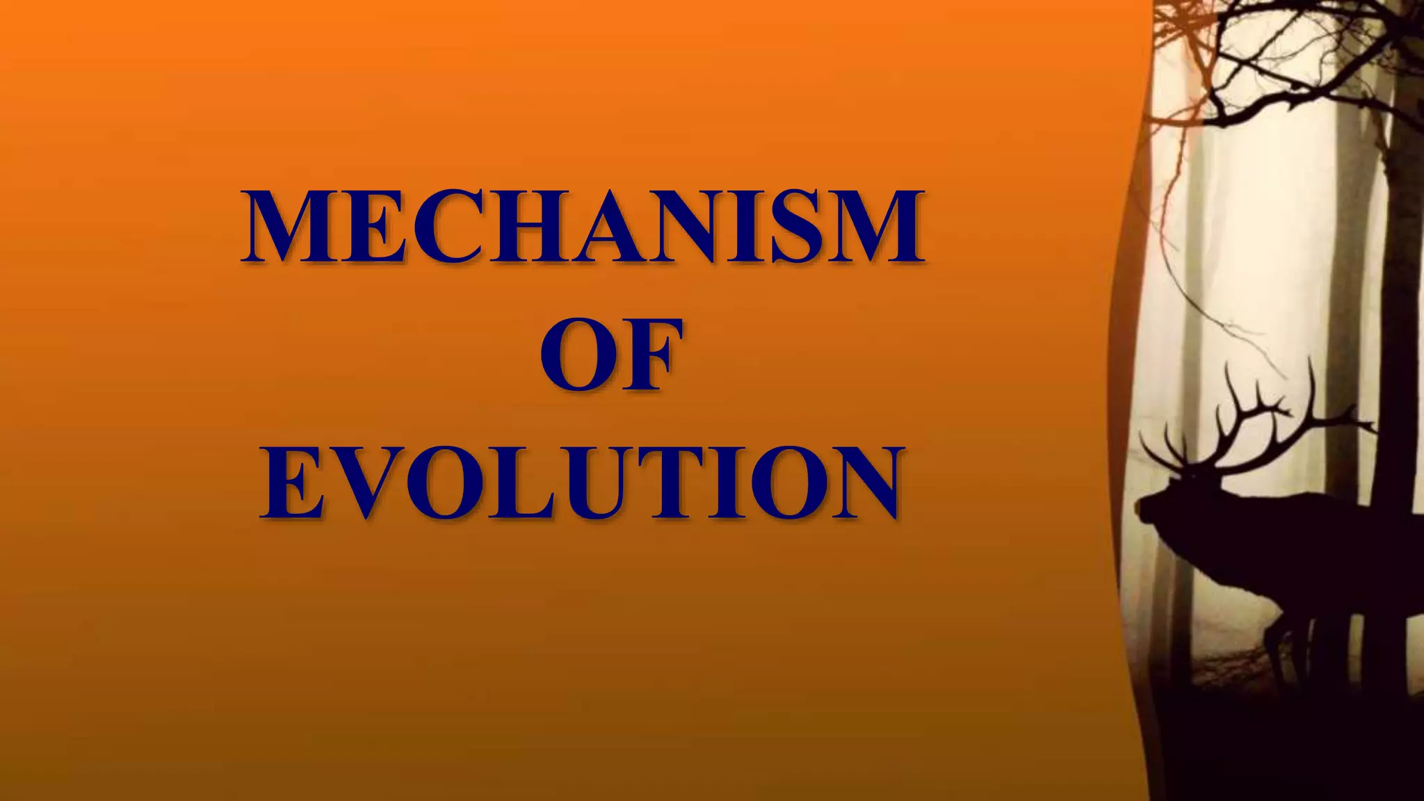 MECHANISM
OF
EVOLUTION
 