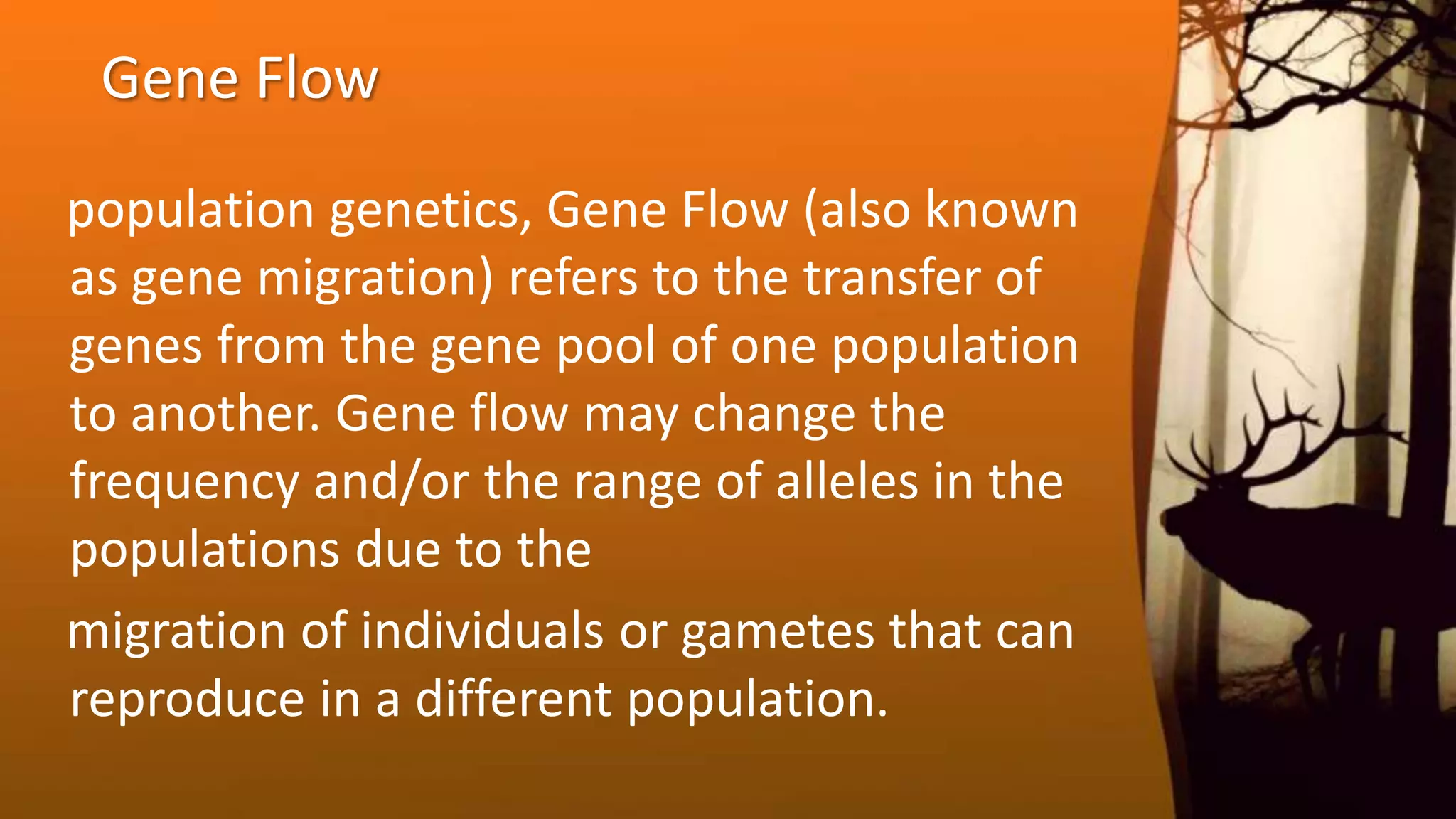 population genetics, Gene Flow (also known
as gene migration) refers to the transfer of
genes from the gene pool of one population
to another. Gene flow may change the
frequency and/or the range of alleles in the
populations due to the
migration of individuals or gametes that can
reproduce in a different population.
Gene Flow
 