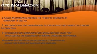 CRITICISM OF LAMARCKISM:
1 AUGUST WEISMANN WHO PROPOSED THE “THEORY OF CONTINUITY OF
GERMPLASM” IN 1892 A.D.
2 THIS THEORY STATES THAT ENVIRONMENTAL FACTORS DO AFFECT ONLY SOMATIC CELLS AND NOT
THE GERM CELLS.
3 HE SUGGESTED THAT GERMPLASM IS WITH SPECIAL PARTICLES CALLED “IDS”
WHICH CONTROL THE DEVELOPMENT OF PARENTAL CHARACTERS IN OFFSPRINGS.
4 WEISMANN MUTILATED THE TAILS OF MICE FOR ABOUT 22 GENERATIONS AND
ALLOWED THEM TO BREED, BUT TAILLESS MICE WERE NEVER BORN.
 