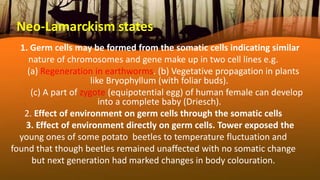 Neo‐Lamarckism states
1. Germ cells may be formed from the somatic cells indicating similar
nature of chromosomes and gene make up in two cell lines e.g.
(a) Regeneration in earthworms. (b) Vegetative propagation in plants
like Bryophyllum (with foliar buds).
(c) A part of zygote (equipotential egg) of human female can develop
into a complete baby (Driesch).
2. Effect of environment on germ cells through the somatic cells
3. Effect of environment directly on germ cells. Tower exposed the
young ones of some potato beetles to temperature fluctuation and
found that though beetles remained unaffected with no somatic change
but next generation had marked changes in body colouration.
 