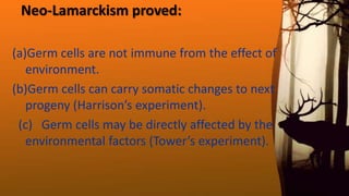 Neo‐Lamarckism proved:
(a)Germ cells are not immune from the effect of
environment.
(b)Germ cells can carry somatic changes to next
progeny (Harrison’s experiment).
(c) Germ cells may be directly affected by the
environmental factors (Tower’s experiment).
 