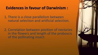 Evidences in favour of Darwinism :
1. There is a close parallelism between
natural selection and artificial selection.
2. Correlation between position of nectaries
in the flowers and length of the proboscis
of the pollinating insect.
 