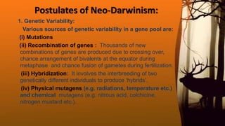 Postulates of Neo‐Darwinism:
1. Genetic Variability:
Various sources of genetic variability in a gene pool are:
(i) Mutations
(ii) Recombination of genes : Thousands of new
combinations of genes are produced due to crossing over,
chance arrangement of bivalents at the equator during
metaphase and chance fusion of gametes during fertilization.
(iii) Hybridization: It involves the interbreeding of two
genetically different individuals to produce ‘hybrids’.
(iv) Physical mutagens (e.g. radiations, temperature etc.)
and chemical mutagens (e.g. nitrous acid, colchicine,
nitrogen mustard etc.).
 