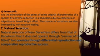v) Genetic drift:
It is the elimination of the genes of some original characteristics of a
species by extreme reduction in a population due to epidemics or
migration or Sewell Wright effect. The chances of variations are also
increased by non‐random mating.
2. Natural Selection:
Natural selection of Neo‐ Darwinism differs from that of
Darwinism that it does not operate through “survival of the
fittest” but operates through differential reproduction and
comparative reproductive success.
 