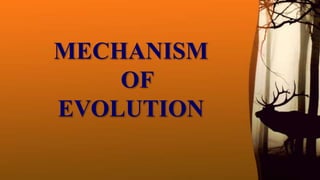 MECHANISM
OF
EVOLUTION
 