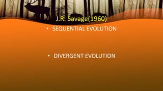 J.R. Savage(1960)
• SEQUENTIAL EVOLUTION
• DIVERGENT EVOLUTION
 