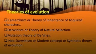 Theories of evolution
 Lamarckism or Theory of Inheritance of Acquired
characters.
Darwinism or Theory of Natural Selection.
Mutation theory of De Vries.
 Neo-Darwinism or Modern concept or Synthetic theory
of evolution.
 