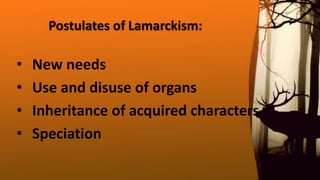Postulates of Lamarckism:
• New needs
• Use and disuse of organs
• Inheritance of acquired characters
• Speciation
 