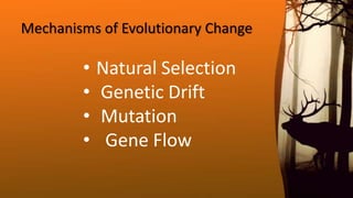  EVOLUTION AND MECHANISM OF EVOLUTION