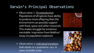 Darwin’s Principal Observations
 Observation 1: Overproduction:
Populations of all species have ability
to produce more offspring than the
environment can possibly support
with food, space and other resources.
This makes struggle for existence
inevitable: Inspiration from Malthus’
essay on population explosion
 Observation 2: IndividualVariation:
Individuals in a population vary in
many heritable traits Felix Bast
 