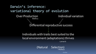 Darwin’s inference:
variational theory of evolution
Over Production Individual variation
Differential reproductive success
Individuals with traits best suited to the
local environment (adaptations) thrives
(Natural Selection)
Felix Bast
Malthus
Lamarck
+Wallace
 