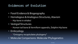 Evidences of Evolution
• Fossil Evidence & Biogeography
• Homologous & Analogous Structures, Atavism
• Hip-bone in whales!
• Vestigial Structures
• Human tail bone &Vermiform appendix, Dolphin Hip bone
• Embryology
• “Ontogeny recapitulates phylogeny”
• Molecular Comparisons: Molecular Phylogenetics
Felix Bast
 
