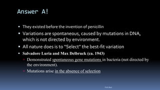 Answer A!
 They existed before the invention of penicillin
 Variations are spontaneous, caused by mutations in DNA,
which is not directed by environment.
 All nature does is to “Select” the best-fit variation
 Salvadore Luria and Max Delbruck (ca. 1943)
 Demonstrated spontaneous gene mutations in bacteria (not directed by
the environment).
 Mutations arise in the absence of selection
Felix Bast
 