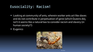 Eusociality: Racism!
 Looking at community of ants; wherein worker ants act like slaves
and do not contribute in perpetuation of gene (which Queens do),
isn’t it seems like a natural law to consider racism and slavery (in
human society!?)
 Eugenics
Felix Bast
 