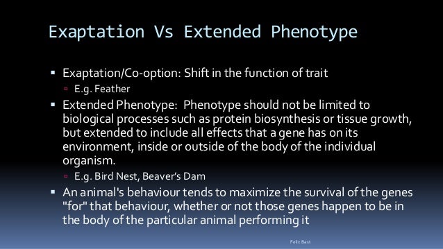 What is an extended phenotype?