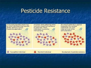 Pesticide Resistance