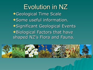 Evolution in NZ  ,[object Object],[object Object],[object Object],[object Object]