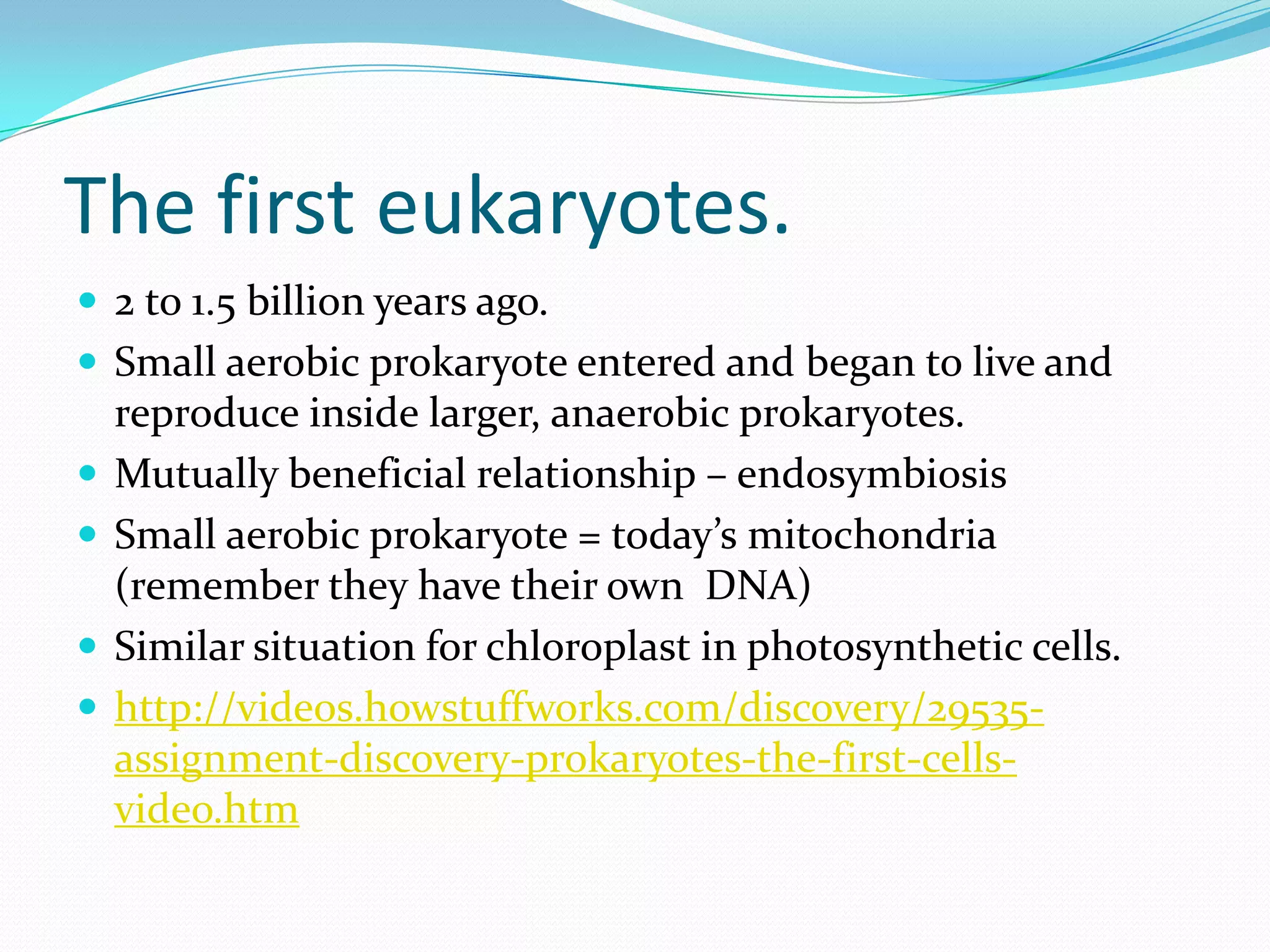 The first eukaryotes.
 2 to 1.5 billion years ago.
 Small aerobic prokaryote entered and began to live and
    reproduce inside larger, anaerobic prokaryotes.
   Mutually beneficial relationship – endosymbiosis
   Small aerobic prokaryote = today’s mitochondria
    (remember they have their own DNA)
   Similar situation for chloroplast in photosynthetic cells.
   http://videos.howstuffworks.com/discovery/29535-
    assignment-discovery-prokaryotes-the-first-cells-
    video.htm
 