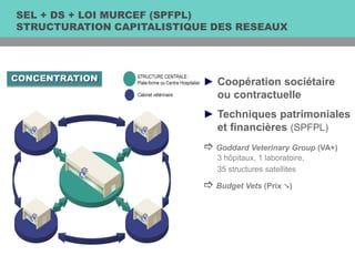 ► Coopération sociétaire
ou contractuelle
► Techniques patrimoniales
et financières (SPFPL)
 Goddard Veterinary Group (VA+)
3 hôpitaux, 1 laboratoire,
35 structures satellites
 Budget Vets (Prix )
CONCENTRATION
SEL + DS + LOI MURCEF (SPFPL)
STRUCTURATION CAPITALISTIQUE DES RESEAUX
 