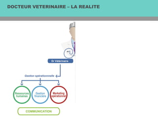DOCTEUR VETERINAIRE – LA REALITE
 