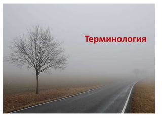 Терминология
 