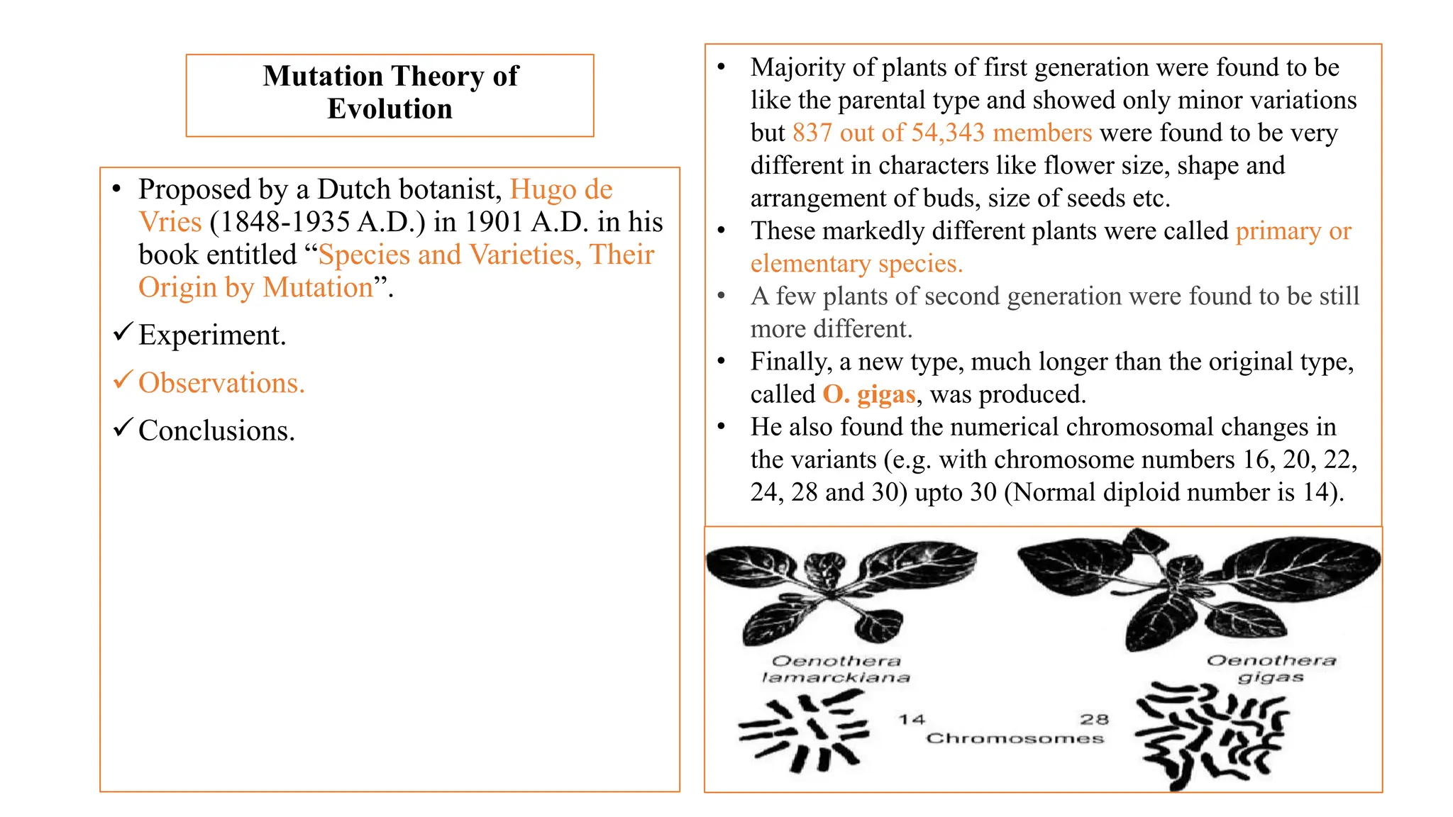 Evolution (Lecture 2) a concept in biology.pptx