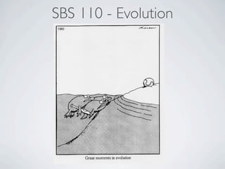SBS 110 - Evolution
 