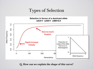Types of Selection




Q. How can we explain the shape of this curve?
 