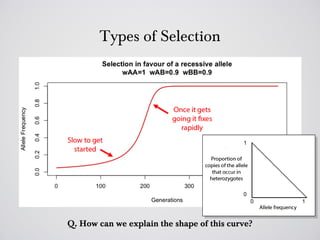 Types of Selection




Q. How can we explain the shape of this curve?
 