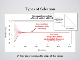 Types of Selection




Q. How can we explain the shape of this curve?
 