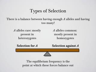 Types of Selection
There is a balance between having enough A alleles and having
                          too many!

     A alleles rare: mostly        A alleles common:
           present in               mostly present in
        heterozygotes                 homozygotes

       Selection for A            Selection against A



               The equilibrium frequency is the
            point at which these forces balance out
 