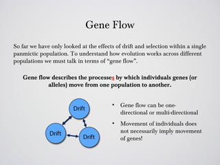 Gene Flow
So far we have only looked at the effects of drift and selection within a single
panmictic population. To understand how evolution works across different
populations we must talk in terms of “gene flow”.

   Gene flow describes the processes by which individuals genes (or
            alleles) move from one population to another.


                                         • Gene flow can be one-
                                           directional or multi-directional
                                         • Movement of individuals does
                                           not necessarily imply movement
                                           of genes!
 