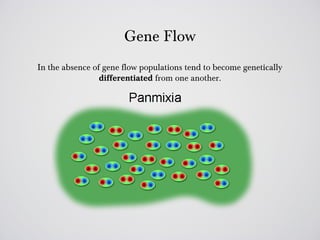 Gene Flow
In the absence of gene flow populations tend to become genetically
                 differentiated from one another.
 