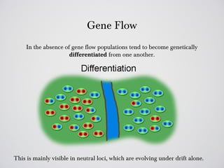 Gene Flow
     In the absence of gene flow populations tend to become genetically
                      differentiated from one another.




This is mainly visible in neutral loci, which are evolving under drift alone.
 