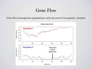 Gene Flow
Gene flow homogenises populations, and can recover lost genetic variation
 