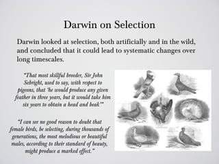 Darwin on Selection
   Darwin looked at selection, both artificially and in the wild,
   and concluded that it could lead to systematic changes over
   long timescales.

      “That most skillful breeder, Sir John
       Sebright, used to say, with respect to
   pigeons, that ‘he would produce any given
  feather in three years, but it would take him
      six years to obtain a head and beak’”

   “I can see no good reason to doubt that
female birds, be selecting, during thousands of
 generations, the most melodious or beautiful
 males, according to their standard of beauty,
       might produce a marked effect.”
 