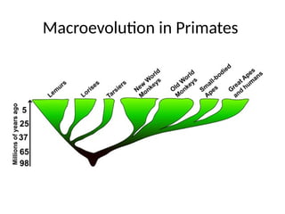 EVOLUTION Lecture Three.pptx for our generation | PPTX