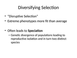 Mechanisms of Evolution including Hardy Weinberg Equilibrium | PPTX