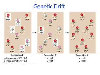 Mechanisms of Evolution including Hardy Weinberg Equilibrium | PPTX