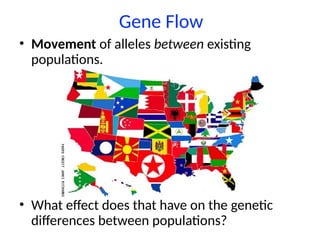 Mechanisms of Evolution including Hardy Weinberg Equilibrium | PPTX