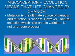 Evolution Misconceptions | PPT