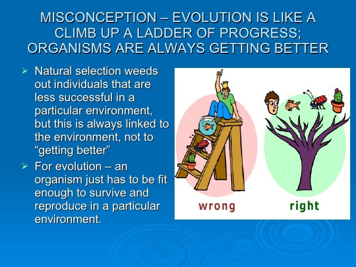 Misconceptions Of Natural Selection Misconceptions Of Natural Selection