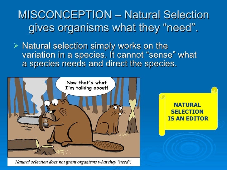 Natural Selection Gives Organisms What They Need Natural Selection Gives Organisms What They Need