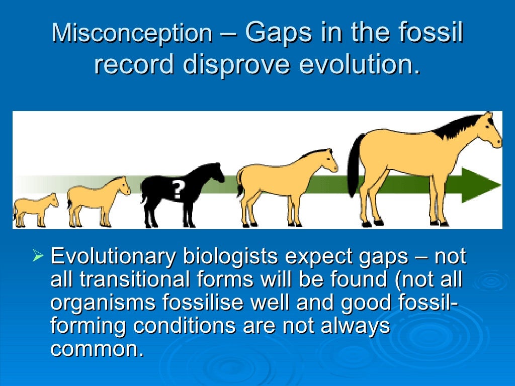 Evolution Misconceptions