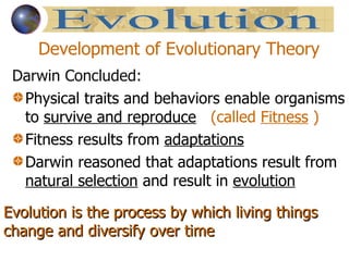 Development of Evolutionary Theory Darwin Concluded: Physical traits and behaviors enable organisms to  survive and reproduce   (called  Fitness  ) Fitness results from  adaptations Darwin reasoned that adaptations result from  natural selection  and result in  evolution Evolution Evolution is the process by which living things change and diversify over time 