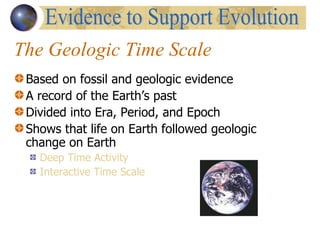 The Geologic Time Scale Based on fossil and geologic evidence A record of the Earth’s past Divided into Era, Period, and Epoch Shows that life on Earth followed geologic change on Earth Deep Time Activity Interactive Time Scale Evidence to Support Evolution 
