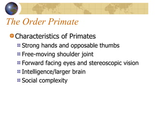The Order Primate Characteristics of Primates Strong hands and opposable thumbs Free-moving shoulder joint Forward facing eyes and stereoscopic vision Intelligence/larger brain Social complexity 